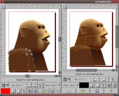 Color patch gradients